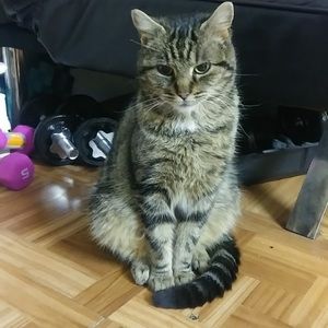 Meet your Posher, Rey